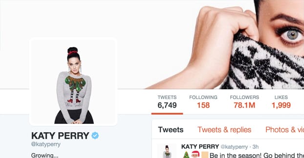 Twitter Perry