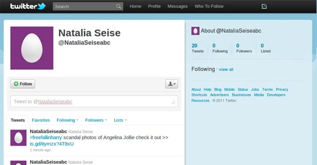 Spam Account on Twitter