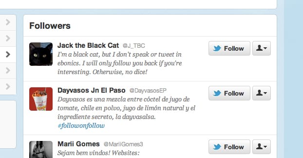 Twitter Audience Example