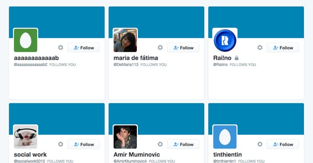 Fake Twitter Follower Examples