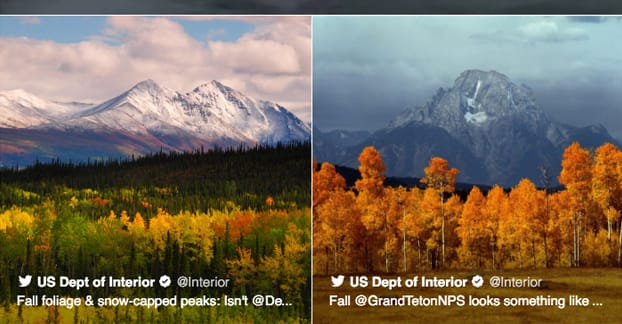 Tweet Grid