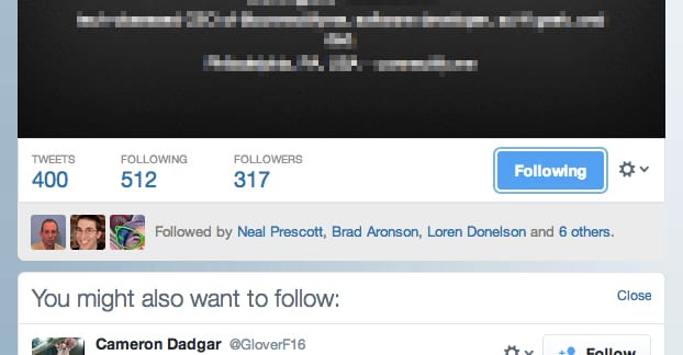 Follower Ratio