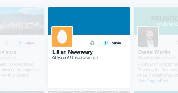 Fake Follower Example