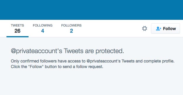 Twitter Private Account