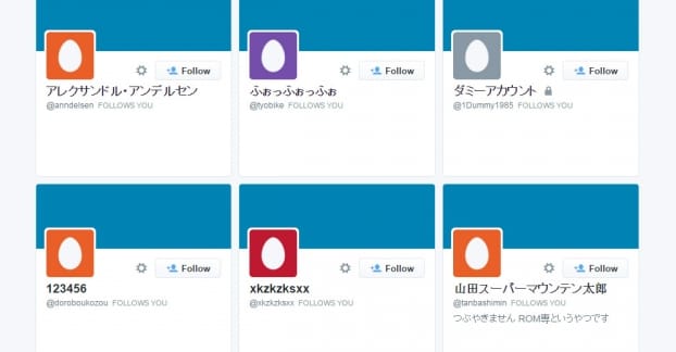 Fake Follower Examples