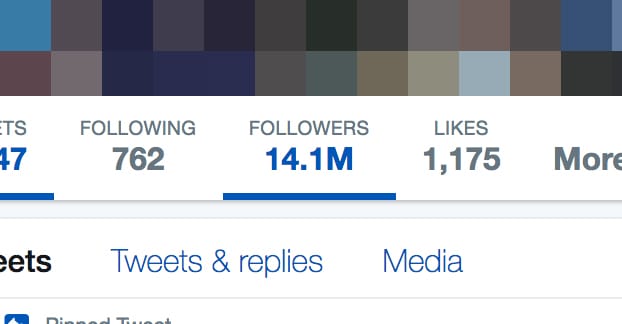 Twitter Fake Followers