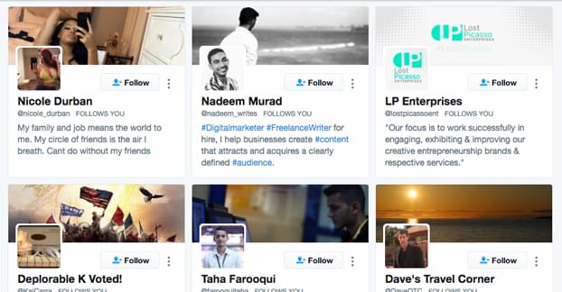 Expand Twitter Following
