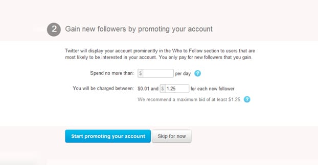 Followers Through Twitter Ads