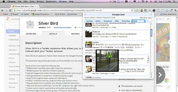 Silver Bird for Gmail