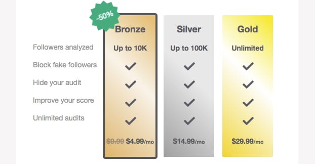 Twitter Audit Pricing