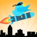 Fast Twitter Followers