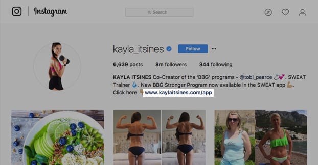 Instagram Bio Website Link