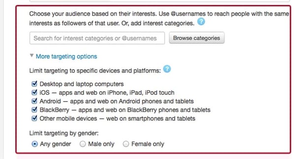 Twitter Interest Targeting