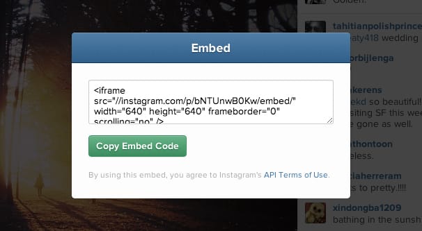 Instagram Embed