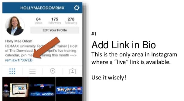 Instagram Bio Link
