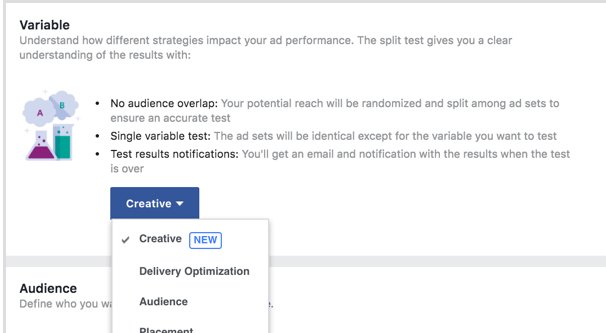 Instagram Ad Variables