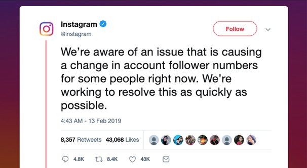Instagram Follower Bug