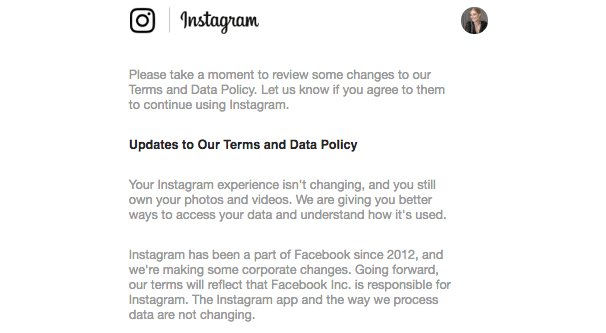 Instagram Terms