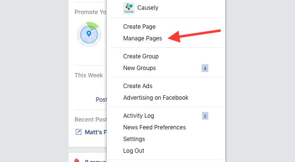 Manage Page and Checkin