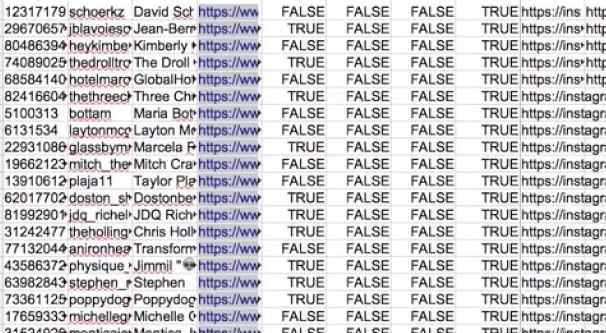 List of Instagram Follower Excel Sheet